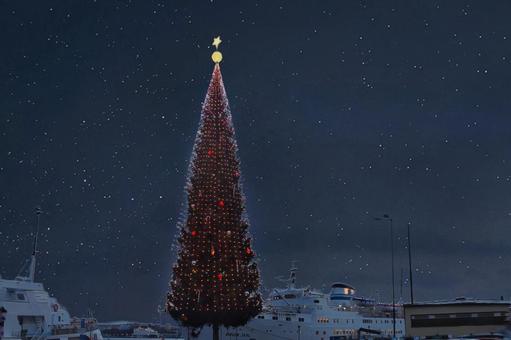 北欧 港に置かれたクリスマスツリー クリスマスツリー,クリスマス,ライトアップの写真素材