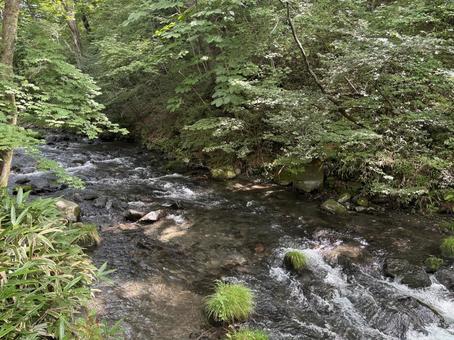 長野県軽井沢町 湯川-8 長野県軽井沢町 湯川-8 長野県,長野,信州の写真素材