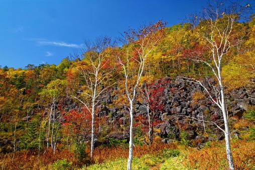 千畳くずれと紅葉 千畳くずれと紅葉 千畳くずれ,紅葉,然別の写真素材