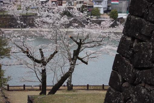 人吉城跡 人吉城跡 球磨川,熊本,人吉の写真素材