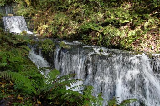滝 滝,水の流れ,川の写真素材