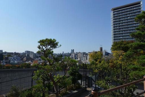富士見台からの眺め富士山無し 目黒天空庭園,眺望,富士見台の写真素材