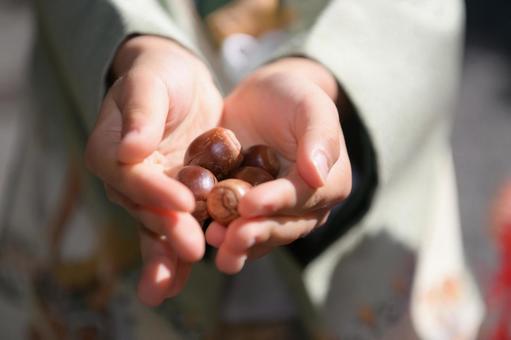 どんぐり どんぐり,秋,七五三の写真素材