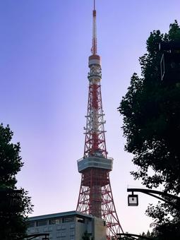 夕空にそびえる東京タワー 東京タワー,日本,ランドマークの写真素材