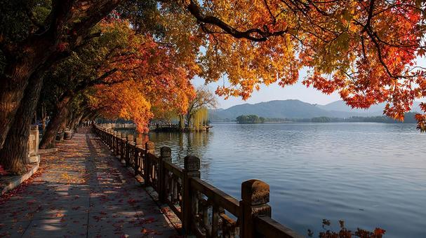 水面に映る紅葉の輝き 水面に映る紅葉の輝きの写真
