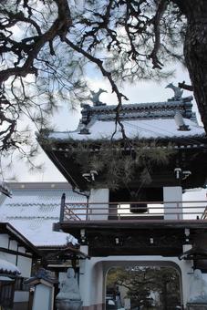 Photo, shinshu, suzaka, walking in town, 