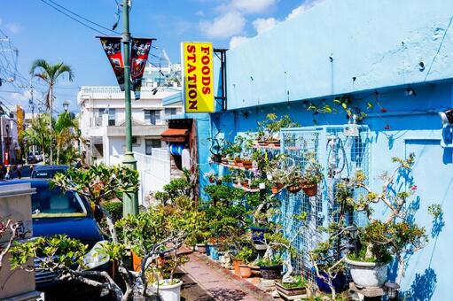 金武町の町並み 金武町の町並み,金武町,町並みの写真素材