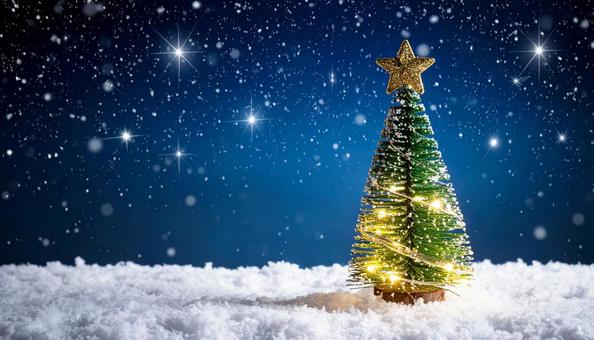 キラキラ クリスマスツリー イメージ キラキラ クリスマスツリー イメージの写真