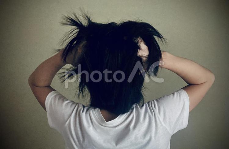 頭を抱える掻きむしる人物の後ろ姿（女性） 頭を抱える,女性,悩むの写真素材