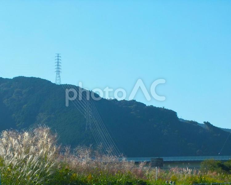 高い山から何本も送電線が伸びる風景 ススキ,鉄塔,送電塔の写真素材