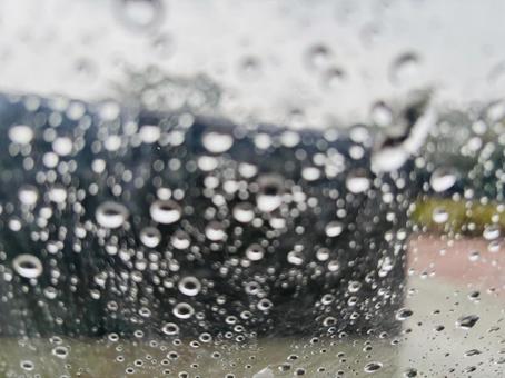 雨粒 雨粒,水滴,雨の写真素材