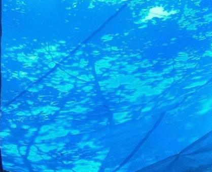 ブルーシート 木陰 ブルーシート 木陰の写真