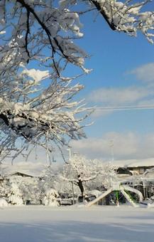 Snow makeup, heavy snow, snowy landscape, snow, JPG