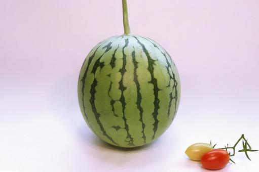 小玉スイカ収穫 野菜,食べ物,スイカの写真素材