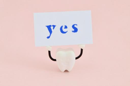 YESと書かれたカードを掲げる歯 YESと書かれたカードを掲げる歯 歯,yes,臼歯の写真素材