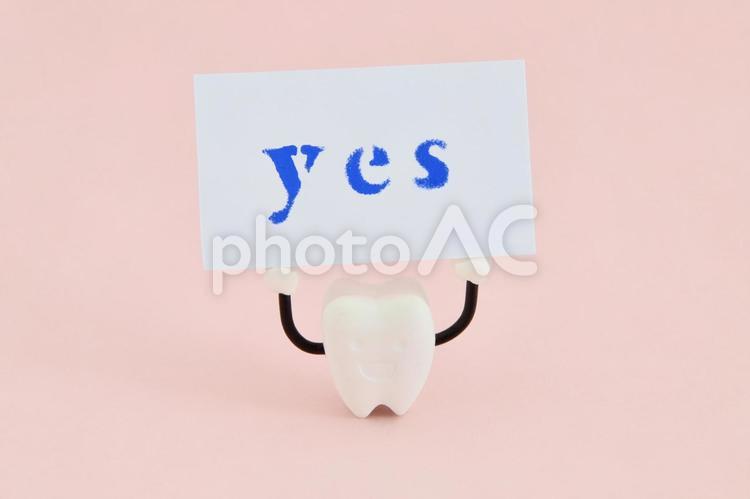 YESと書かれたカードを掲げる歯 歯,yes,臼歯の写真素材