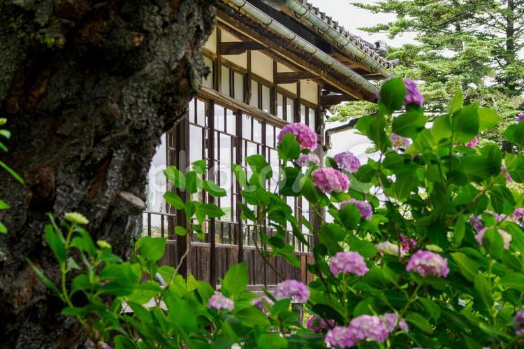 山神社(26) 神社,山神社,神社仏閣の写真素材