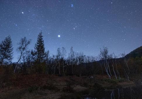 高原の星空 高原の星空の写真
