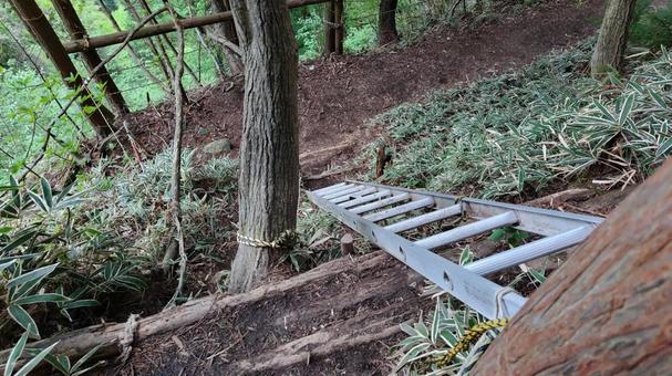 登山道の難所④ 登山道の難所④の写真