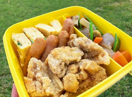 ピクニックで家族分の行楽弁当 ピクニック,行楽弁当,弁当の写真素材