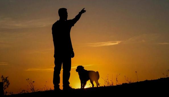 青年と犬 青年と犬の写真