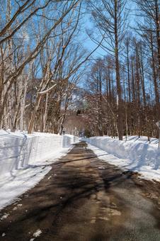 Photo, akiyama village, nagano prefecture, okimura, 