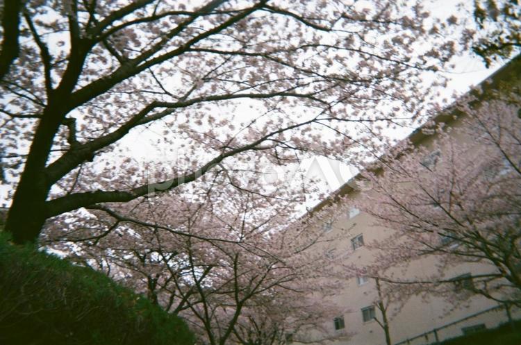 インスタ インスタ,風景,モノクロームの写真素材