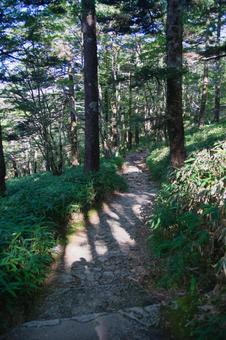 大台ヶ原の風景 大台ヶ原の風景 大蛇嵓,断崖絶壁,正木ヶ原の写真素材