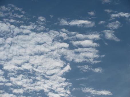 夏の終わりの鱗雲 夏の終わりの鱗雲の写真