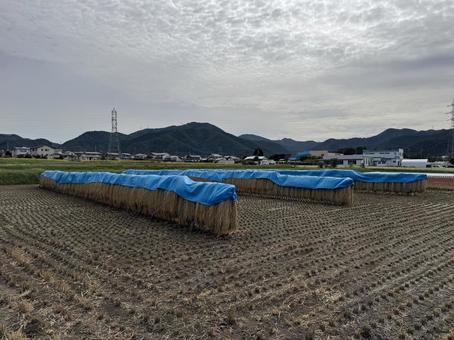 天日干し(長野県塩尻市) 天日干し(長野県塩尻市)の写真