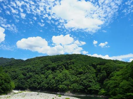 夏の景色31 夏の景色31 川,荒川,川岸の写真素材