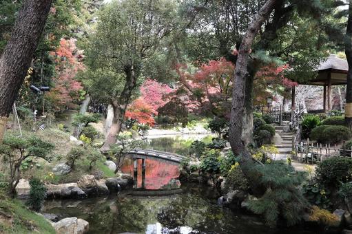縮景園紅葉 広島県,広島市,名勝の写真素材