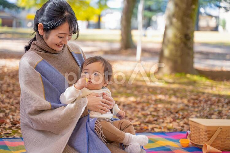 秋の公園で遊ぶ赤ちゃんとママ 赤ちゃん,抱っこ,ピクニックの写真素材