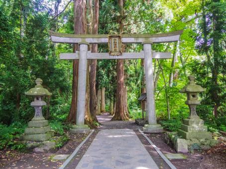 【青森県】十和田市・十和田神社 【青森県】十和田市・十和田神社 十和田神社,パワースポット,神社の写真素材