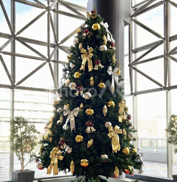 クリスマスツリー きれい,クリスマスツリー,クリスマスの写真素材