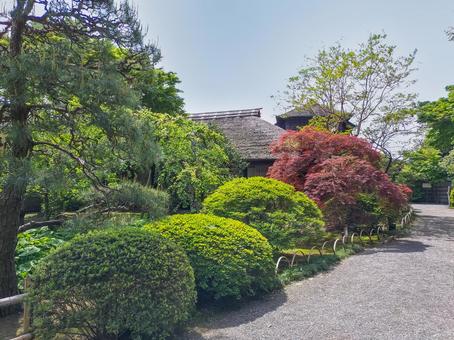 偕楽園 好文亭へ向かう小径 偕楽園 好文亭へ向かう小径 偕楽園,好文亭,小径の写真素材