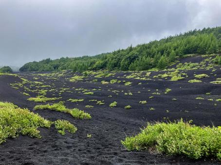 富士山御殿場ルートの景色 富士山御殿場ルートの景色の写真