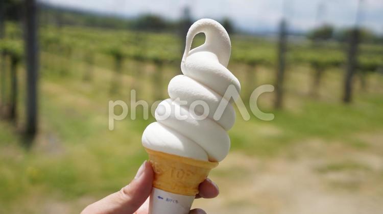 ワイナリーのワインソフトクリーム ソフトクリーム,ワイン,ワイナリーの写真素材