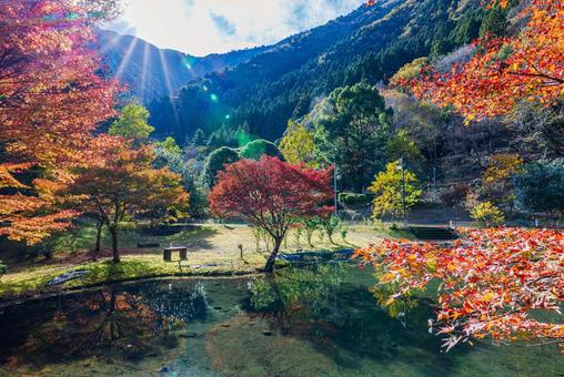 静岡県 草履石公園・秋景色 静岡県 草履石公園・秋景色 草履石公園,寸又峡,紅葉の写真素材