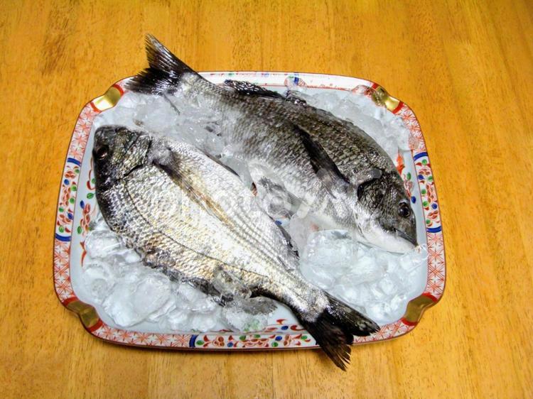 調理前の黒鯛(別名:チヌ) 黒鯛,チヌ,魚の写真素材