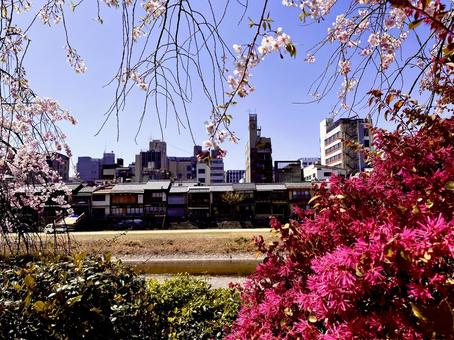京都 京都の写真