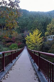人気のない早朝の橋で紅葉を楽しむ 人気のない早朝の橋で紅葉を楽しむの写真