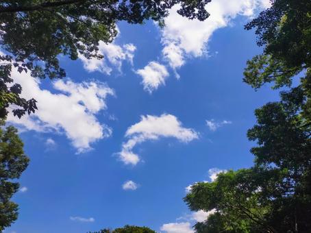 6月の青空、横 6月の青空、横の写真