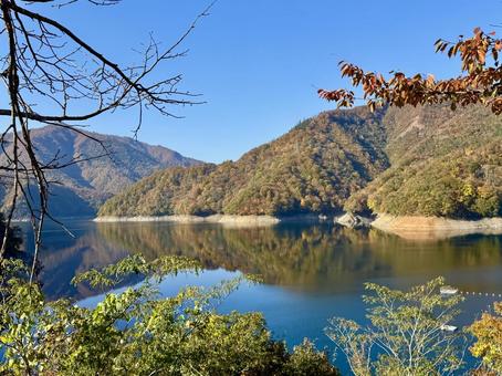 秋の福井の九頭竜ダム　紅葉に色づく湖 秋,晩秋,九頭竜ダムの写真素材