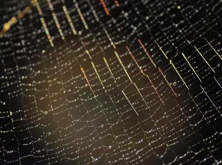 A rainbow-colored spider web that matches the background, JPG