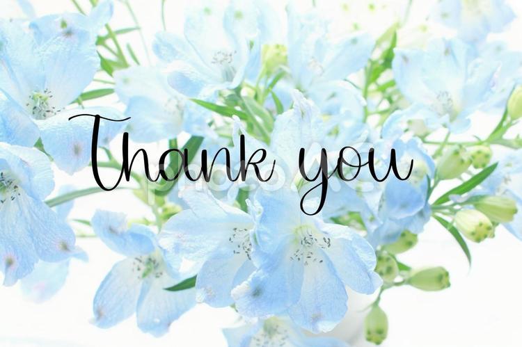 Thank you（ありがとう） サンキュー,文字,英語の写真素材
