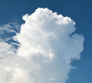 夏の雲 夏の雲の写真