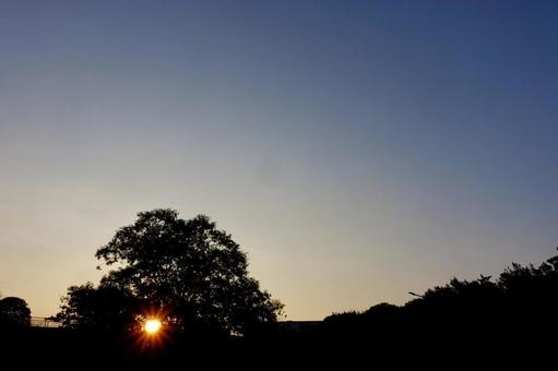 夏の朝空52 夏の朝空52の写真
