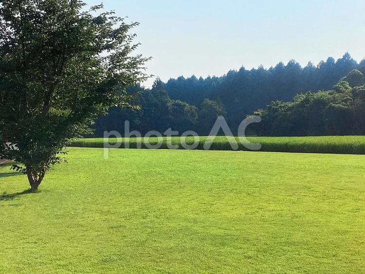 穏やかな緑豊かな風景（背景素材） 背景素材,リラックス,自然の写真素材