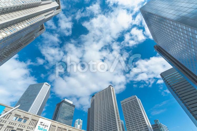 西新宿の高層ビル群と青空 西新宿,高層ビル,都市の風景の写真素材